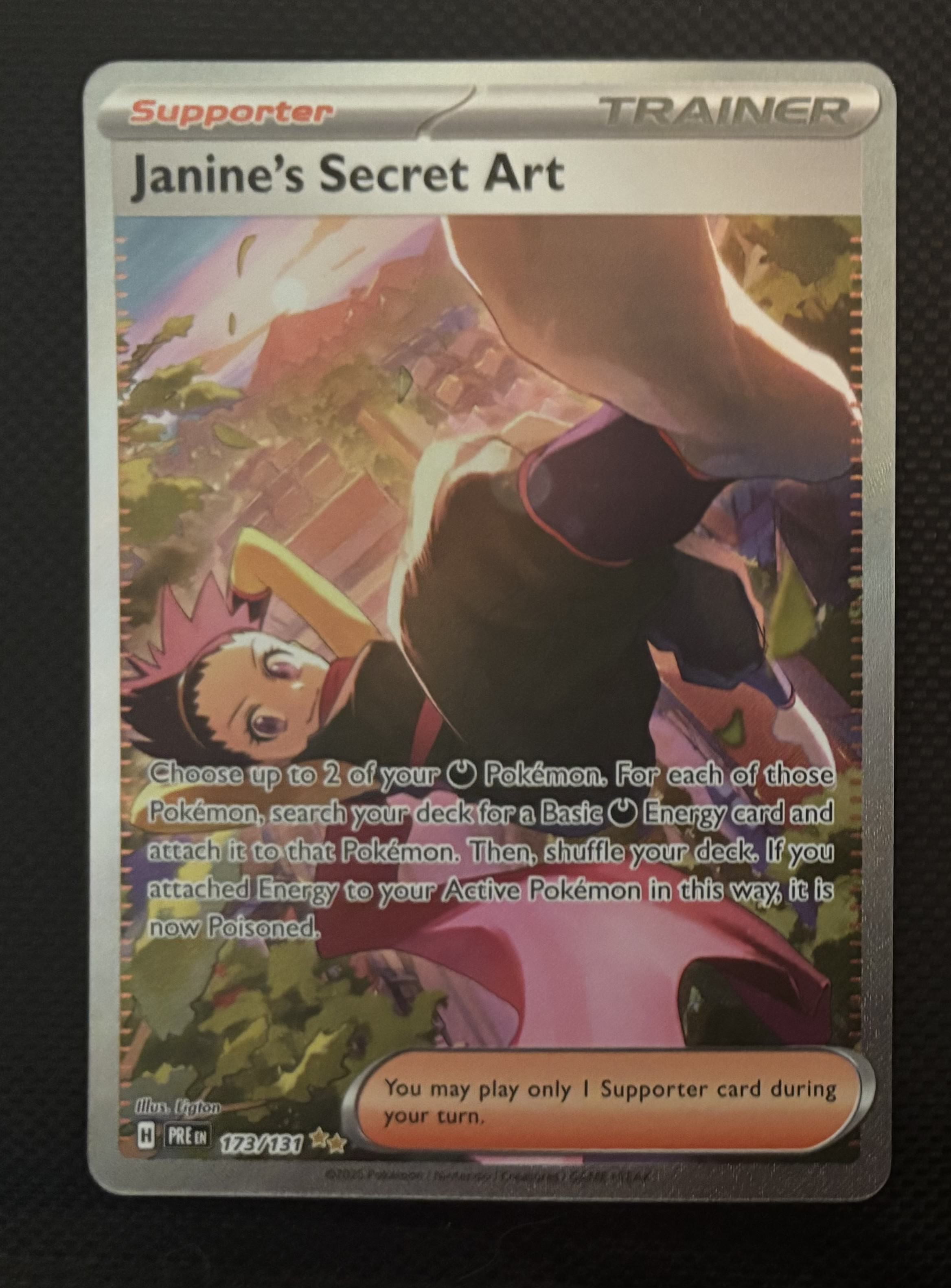 Janine's Secret Art view 1