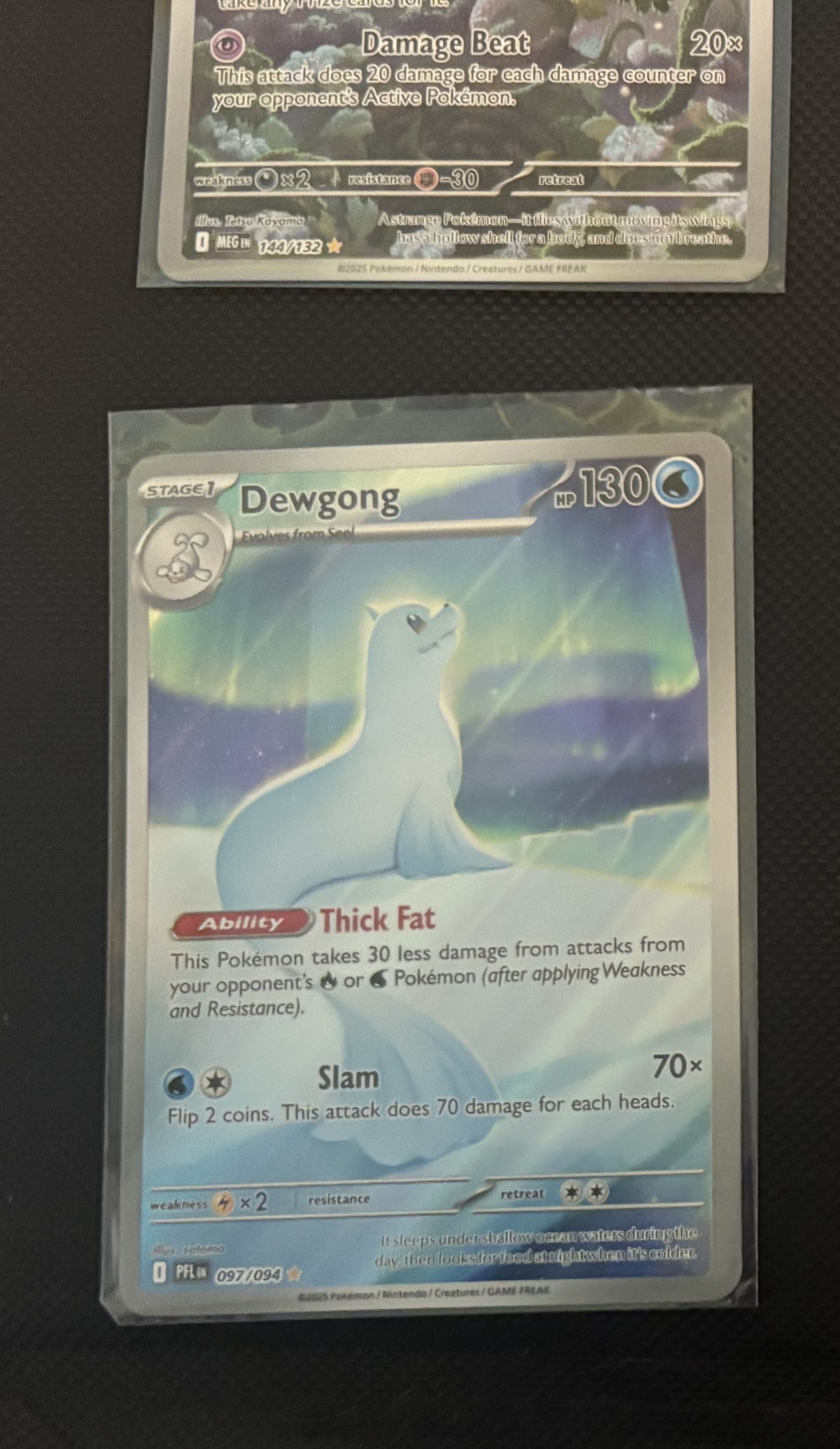 Dewgong view 1