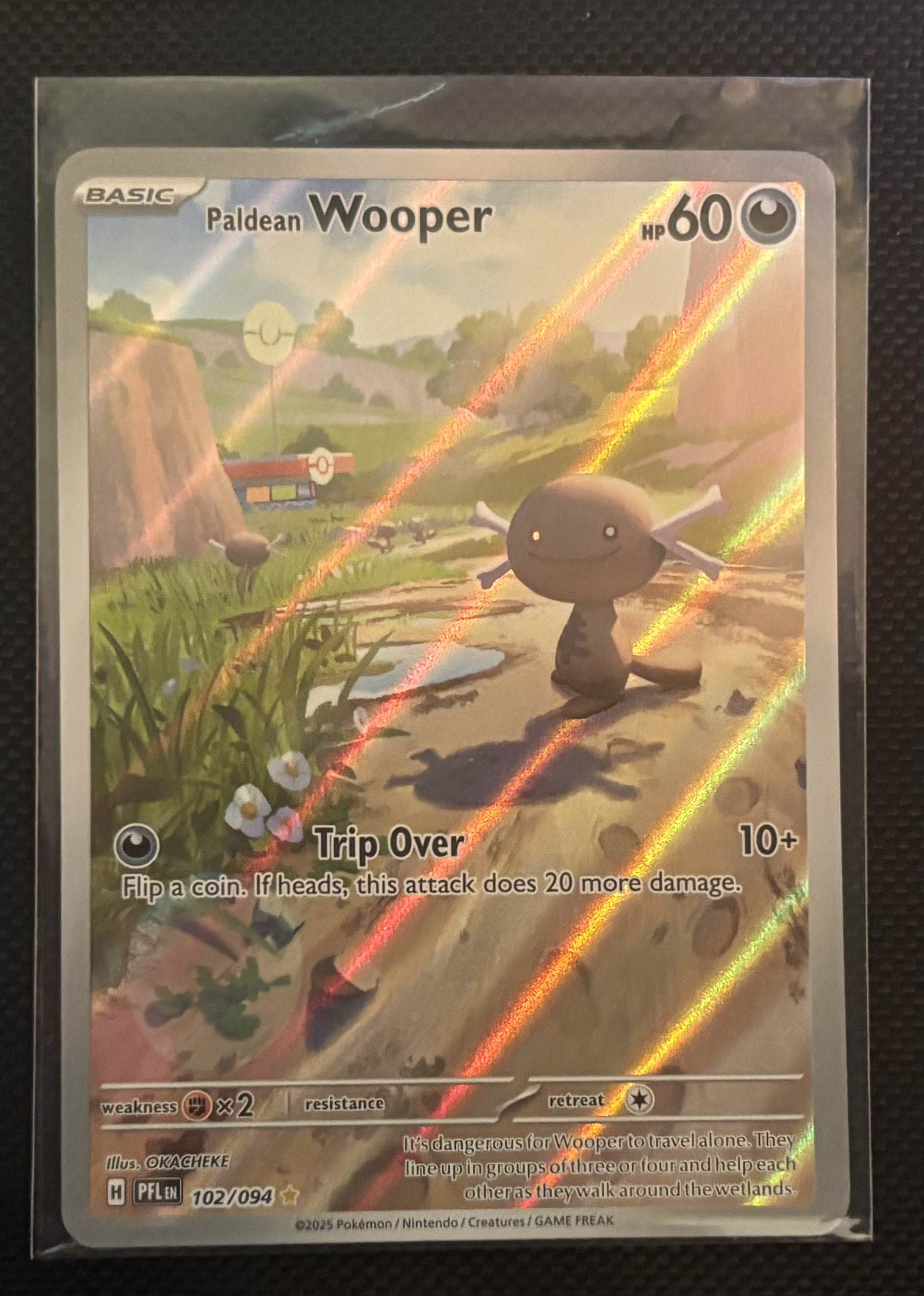 Paldean Wooper view 1