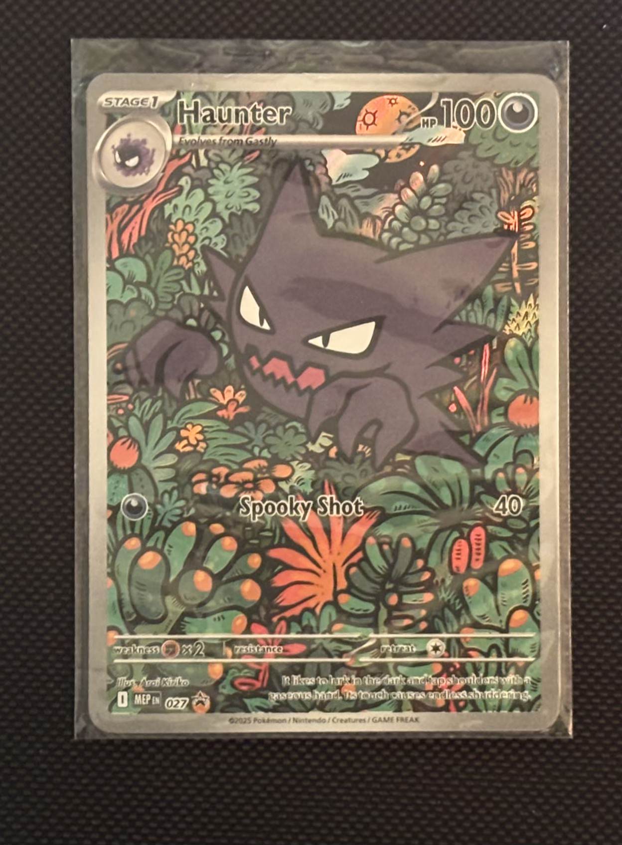 Haunter view 1