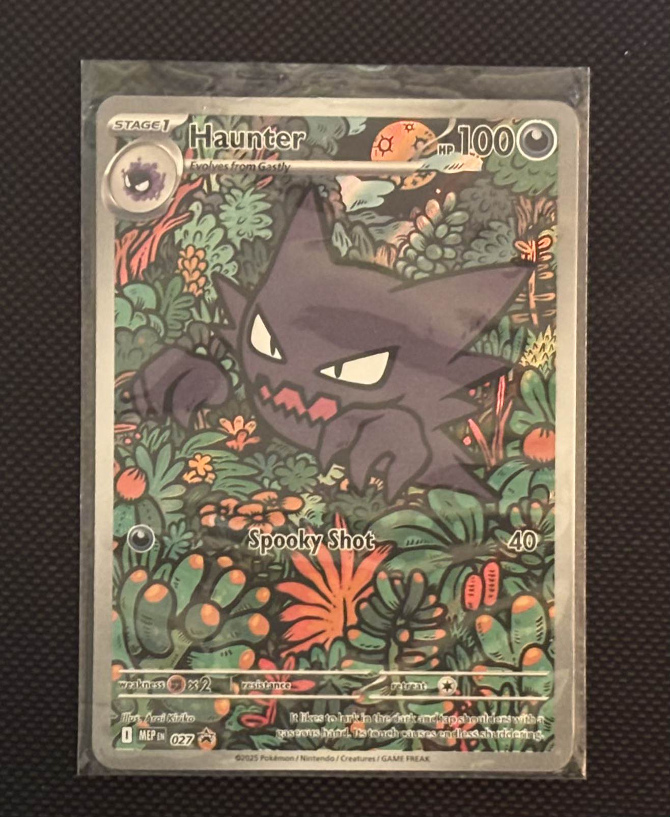 Haunter view 1