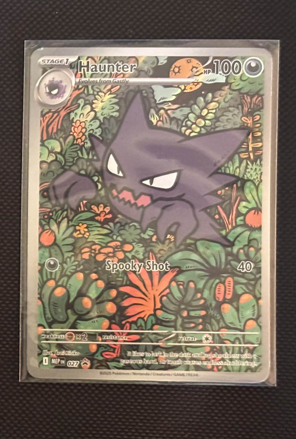 Haunter view 1