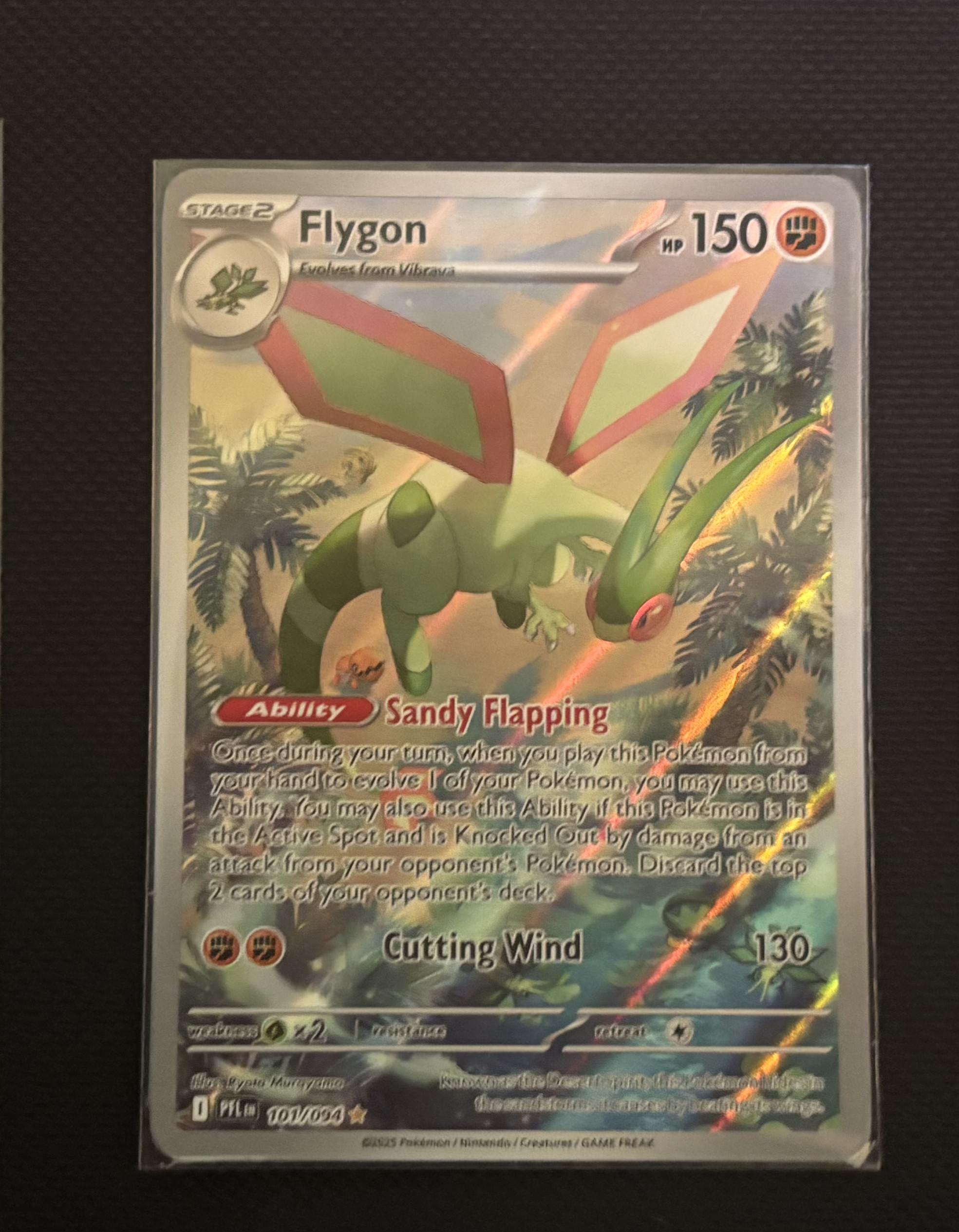 Flygon view 1