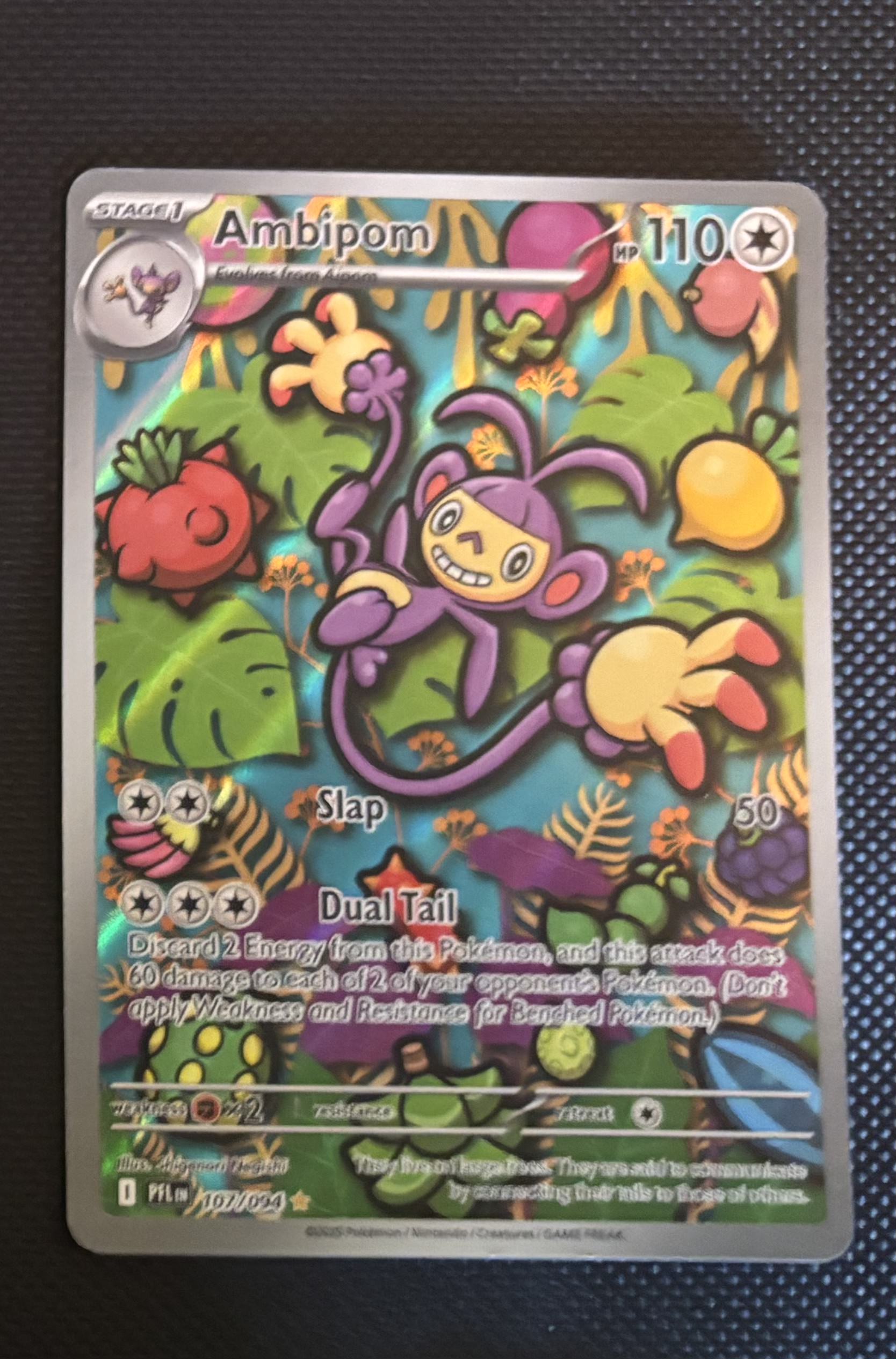 Ambipom view 1